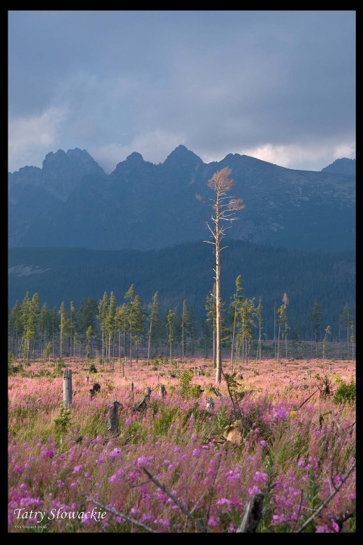 Tatry Słowackie